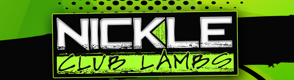 Nickle Club Lambs