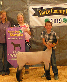 Nickle Club Lambs Winners