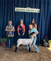 Nickle Club Lambs Winners