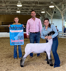 Nickle Club Lambs Winners
