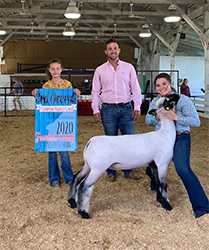 Nickle Club Lambs Winners