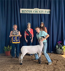Nickles Club Lambs Winners