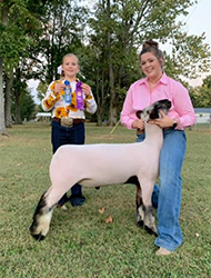 Nickles Club Lambs Winners