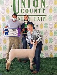 Nickles Club Lambs Winners