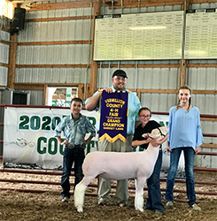 Nickle CLub Lambs Winners