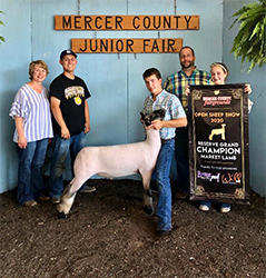 Nickles Club Lambs Winners